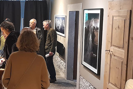 Fotografie