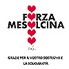 Mesolcina