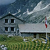 Albigna