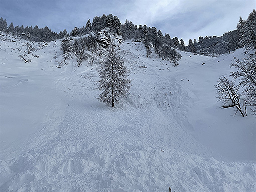 Isola