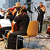 Orchestra